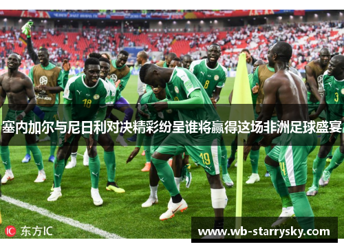 塞内加尔与尼日利对决精彩纷呈谁将赢得这场非洲足球盛宴