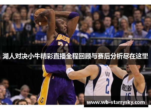 湖人对决小牛精彩直播全程回顾与赛后分析尽在这里